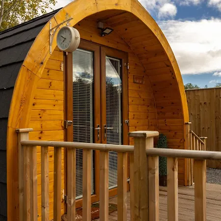 Livi Pod Woodland *